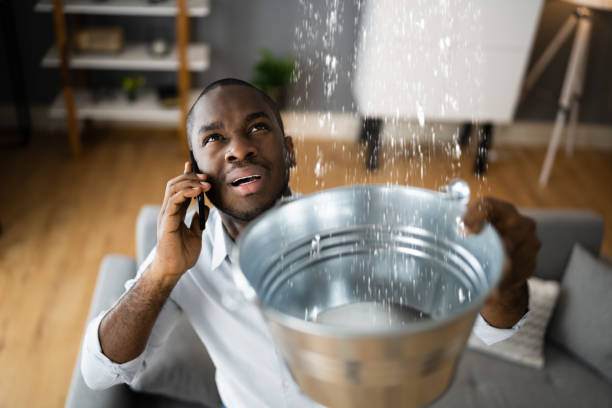 Best 24/7 water damage repair  in , AL