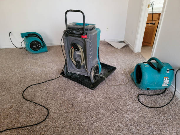 Best Mold removal after water damage  in , AL