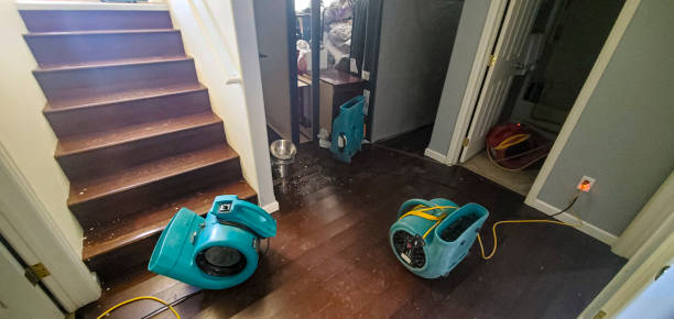 Best Water damage restoration near me  in , AL