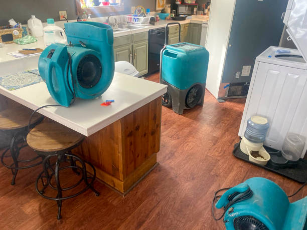 Best Ceiling water damage repair  in , AL