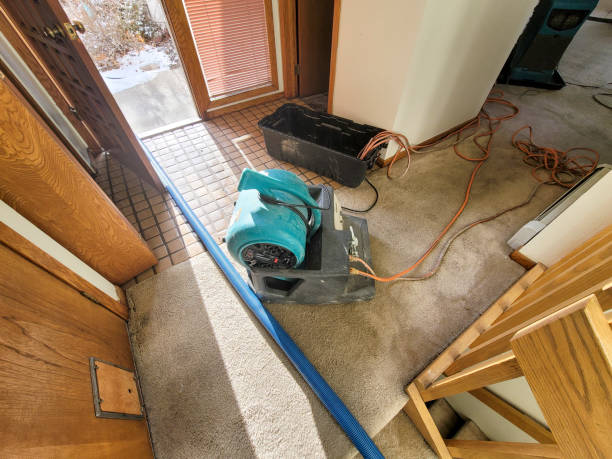 Best Sewage cleanup and water damage restoration  in , AL