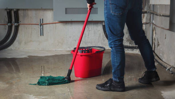 Best Residential water damage restoration  in , AL