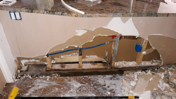 Best Water damage contractors near me  in , AL