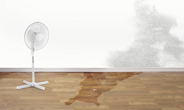 Best Water damage restoration insurance claims  in , AL