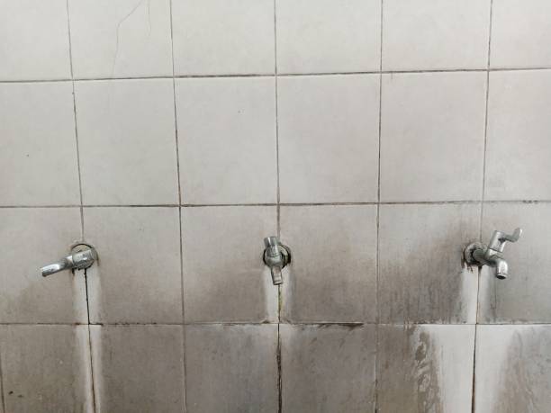 Best Flood restoration services  in , AL