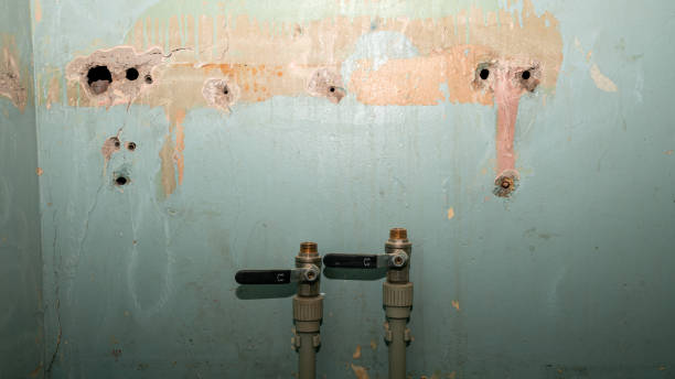 Best Emergency water extraction  in , AL