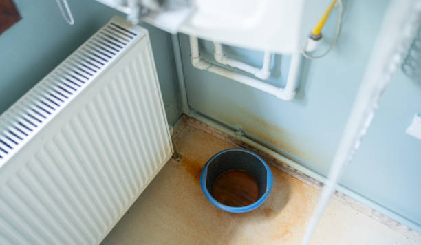 Best Basement water damage restoration  in , AL