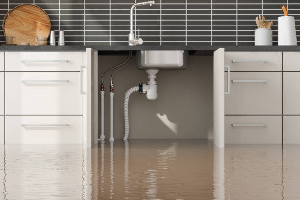 Best Water damage restoration near me  in , AL