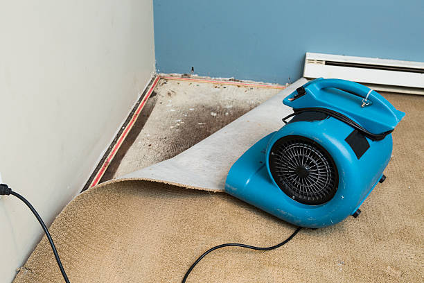 , AL Water damage restoration Pros